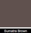 Ceresit CT 60 0,5 mm VISAGE Tynk ozdobny Akrylowy Sumatra Brown