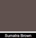 Ceresit CT 60 0,5 mm Visage Tynk Sumatra Brown