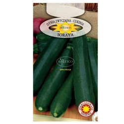 Nasiona Cukinia Soraya wczesna zielona 2g