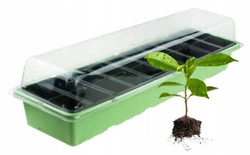 Miniszklarnia do rozsad 20 otworów 54x16cm