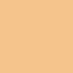 Farba silikatowa Ceresit CT 54 15L Kalahari 4