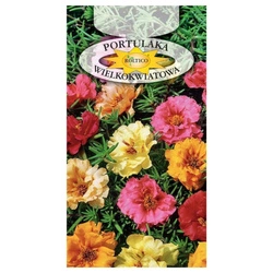 Nasiona Portulaka mix 0,5g