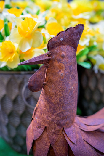 Kura metal rdza 37x13x39cm