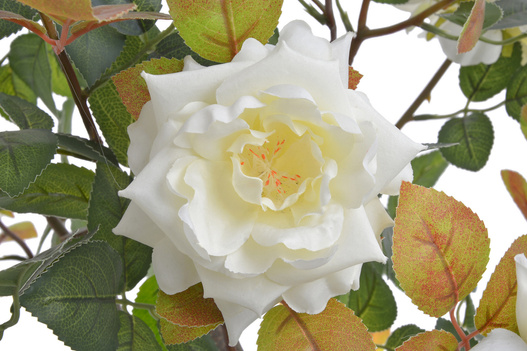 Róża biała w doniczce 100 cm sztuczna roślina ozdobna