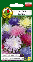 Nasiona Aster igiełkowy mieszanka 0,8g