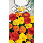 Nasiona Aksamitka Rozpierzchła Champion 0,3g