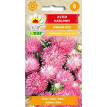 Nasiona Aster Karłowy Ribbon Red 0,5g