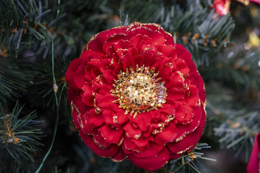 Kwiat na klipsie Cynia czerwono-złoty 10cm