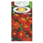Nasiona Aksamitka rozpierzchła Carmen pełna 1g karminowo-miodowa