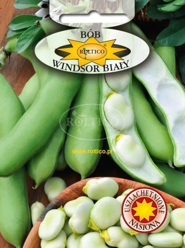 Nasiona Bób Windsor Biały 40g