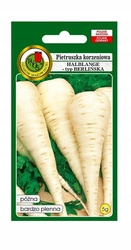 Nasiona Pietruszka Halblange- Berlińska 5g