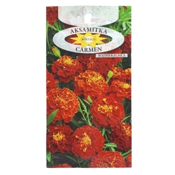 Nasiona Aksamitka rozpierzchła Carmen pełna 1g karminowo-miodowa