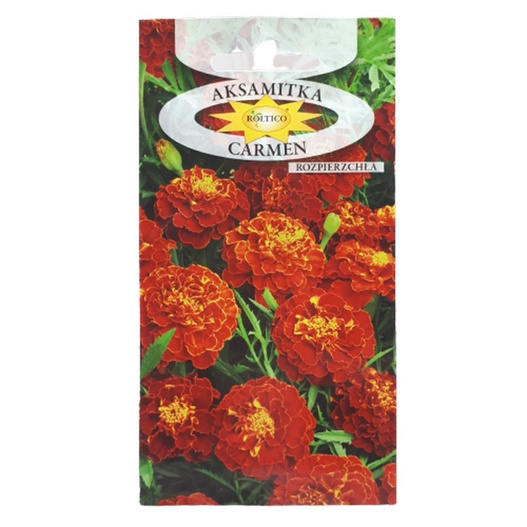 Nasiona Aksamitka rozpierzchła Carmen pełna 1g karminowo-miodowa
