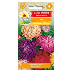 Nasiona Aster Wysoki Peoniowy 1g