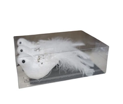 Ptaszki na klipsie białe z koralikami i długim ogonem 15cm 3 sztuki w pudełku