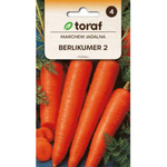 Nasiona Marchew Jadalna Berlicumer 2 5g