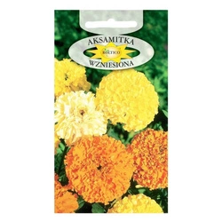 Nasiona Aksamitka wzniesiona mix 1g