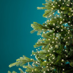 Lampki LED 832 żyłka Wiązki 2,4m zielony ciepły biały