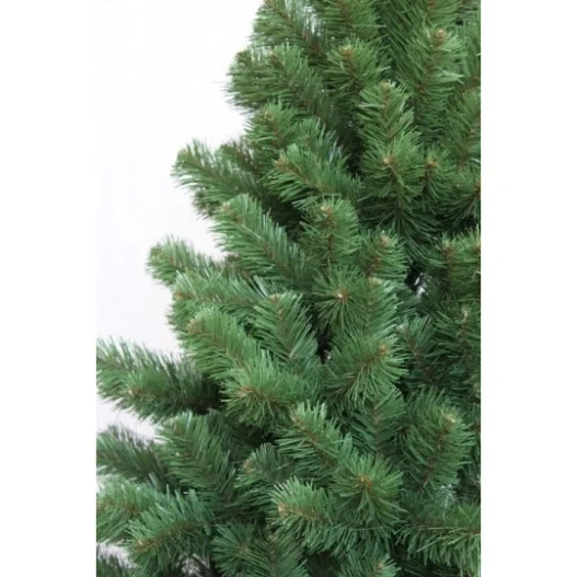 Choinka Jodła 200 cm