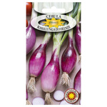 Nasiona Cebula Rossa Lunga Di Firenze 1g