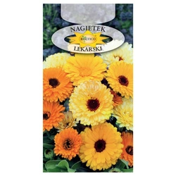 Nasiona Nagietek lekarski 2g