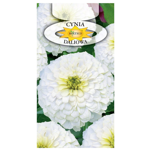 Nasiona cynia daliowa biała 1g