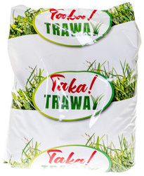 Nasiona trawy Taka trawa! 4,5kg Planta