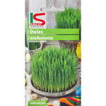 Nasiona Owies Wielkanocny 20g
