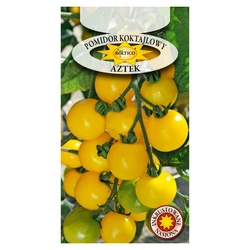 Nasiona pomidor koktajlowy Aztek 0,3g żółty