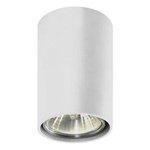 Lampa sufitowa Simba biała