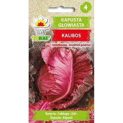 Nasiona Kapusta Głowiasta Czerwona Stożkowa Kalibos 1g