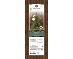 Choinka 180cm Jodła 400 Led biały ciepły PE