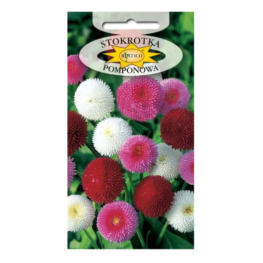 Nasiona Stokrotka pomponowa 0,1g