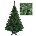 Choinka Jodła 150 cm