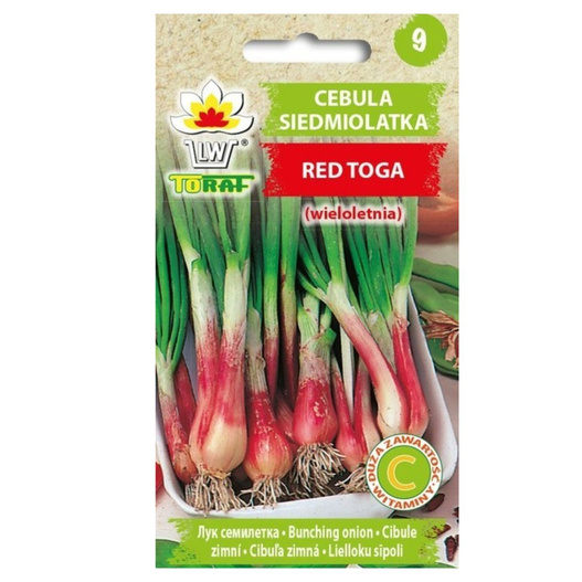 Nasiona cebula siedmiolatka Red Toga 1g