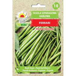 Nasiona Fasola szparagowa karłowa Ferrari 30g
