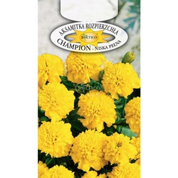 Nasiona Aksamitka Rozpierzchła Champion Żółta 0,3g