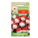 Nasiona rzodkiewka Caro 10g wczesna