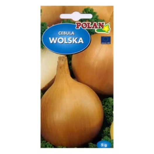 Nasiona Cebula Wolska późna 5g