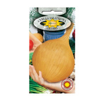 Nasiona cebula Globo 1g późna, sałatkowa