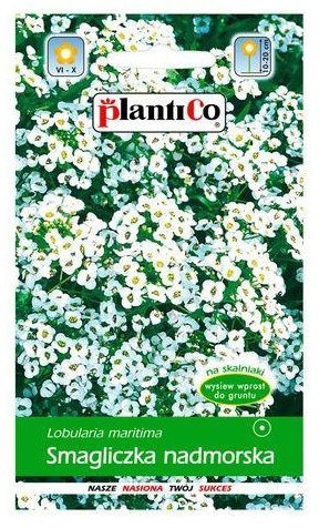 Nasiona Smagliczka nadmorska biała 1g