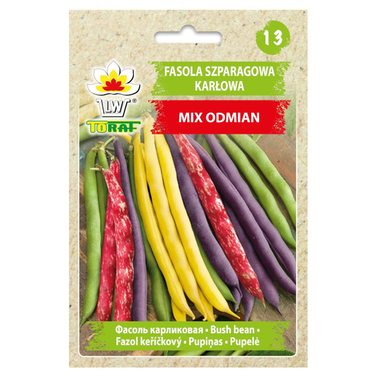 Nasiona Fasola szparagowa Mix odmian 40g