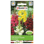 Nasiona Lwia Paszcza wysoka mix. 0,5g