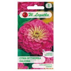 Nasiona Cynia Wytworna Daliowa 1g