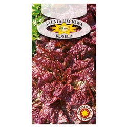 Nasiona Sałata masłowa Rosela 1g wczesna czerwona