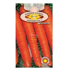 Nasiona Marchew Amsterdam 3- 5g
