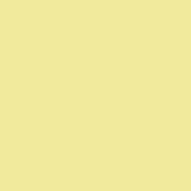 Farba silikatowa Ceresit CT 54 15L California 3