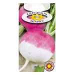 Nasiona Rzepa De Nancy 5g