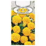 Nasiona Aksamitka rozpierzchła żółta 1g