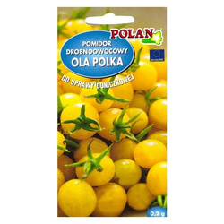 Nasiona Pomidor koktajlowy Żółty Ola Polka 0,2g